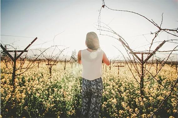 女儿,请大胆嫁给有钱人,妈妈这番话,字字扎心