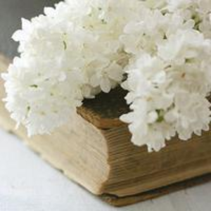 明星街头乔装的综艺节目_中国明星假扮路人视