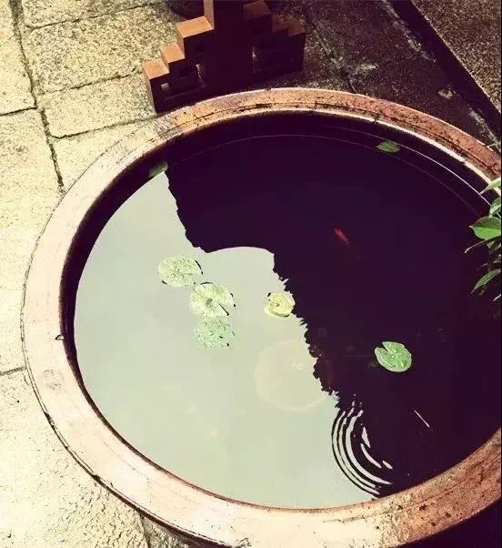 有些人开始喜爱这样的民俗收藏, 也有的人用他们装饰庭院, 用水缸