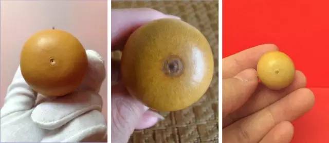 三大手捻葫芦分辨术这几个特点最显著