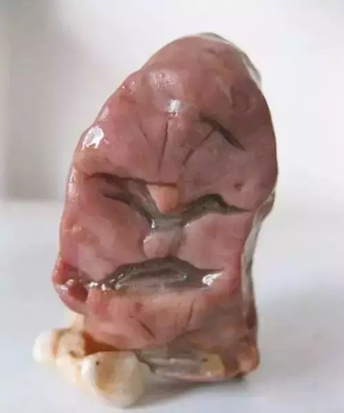 成精了的石头，看完惊呆了！