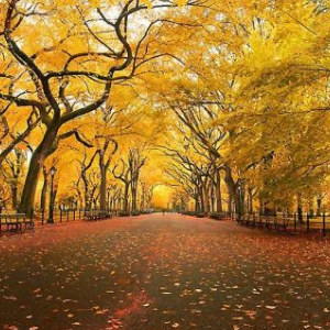 新剧首映仪式,颜丹晨跟陈志朋站一起,真是黑白