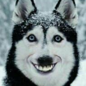 斗破苍穹第二季主演还是吴磊么?斗破苍穹第二