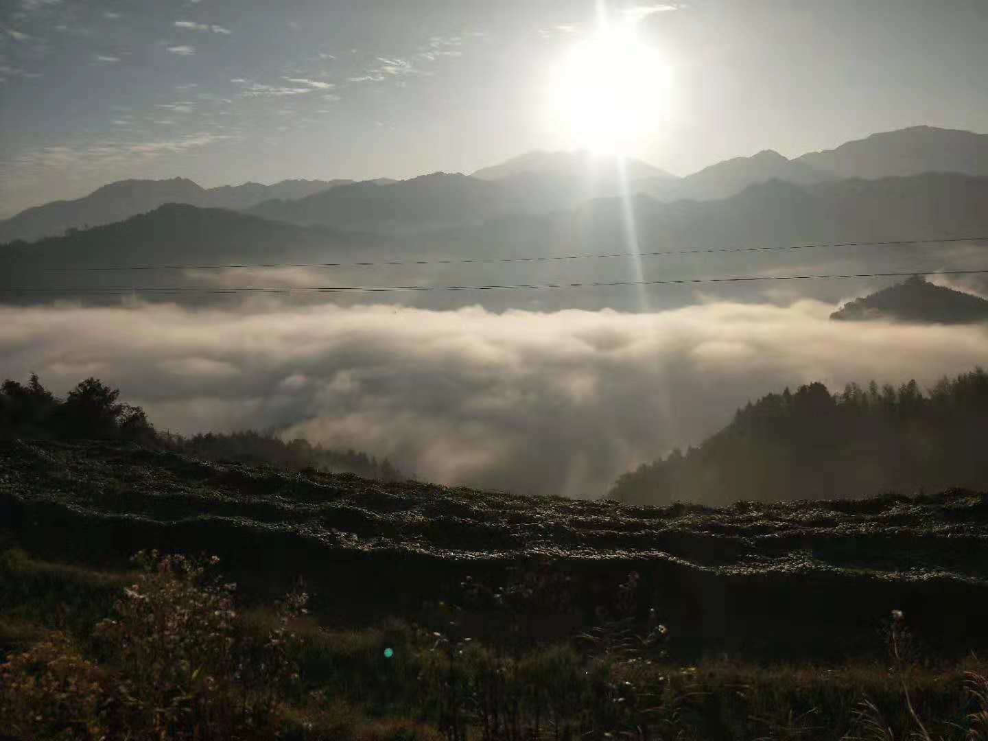 11月份适合去哪里旅游?帮助过30W人的桂林,阳