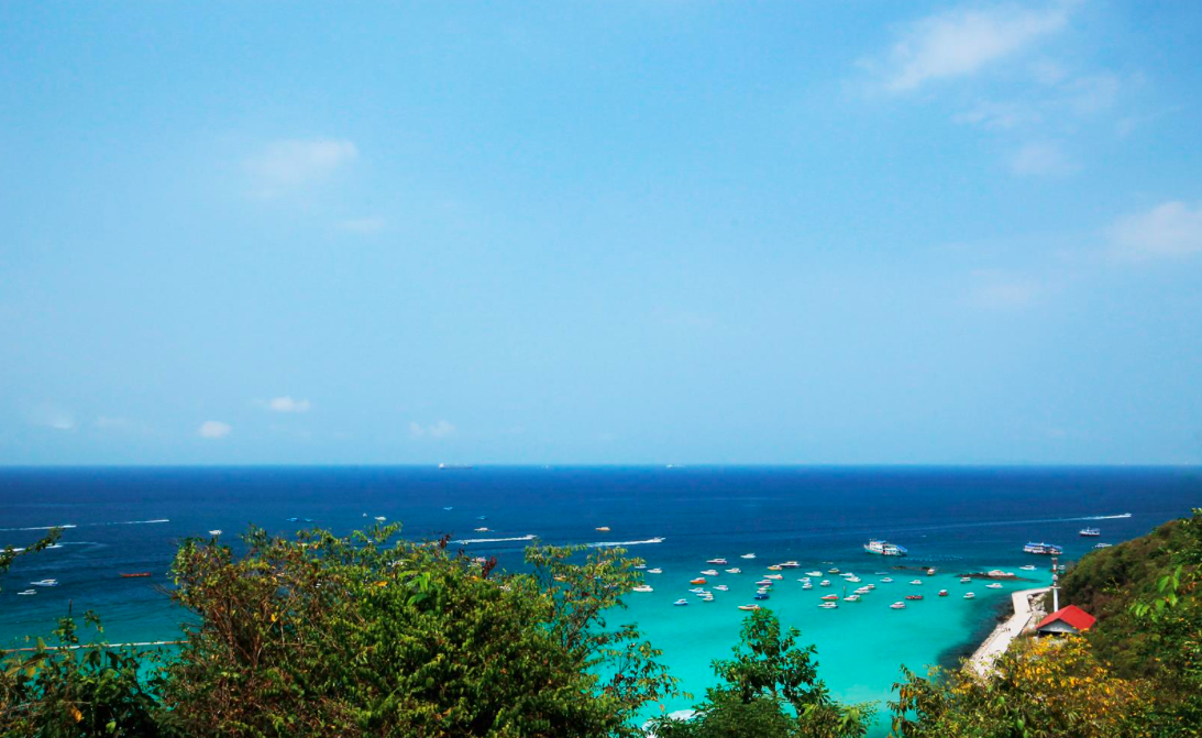 Macintosh HD:Users:ntwbee:Downloads:pr10:Redbull 8.png