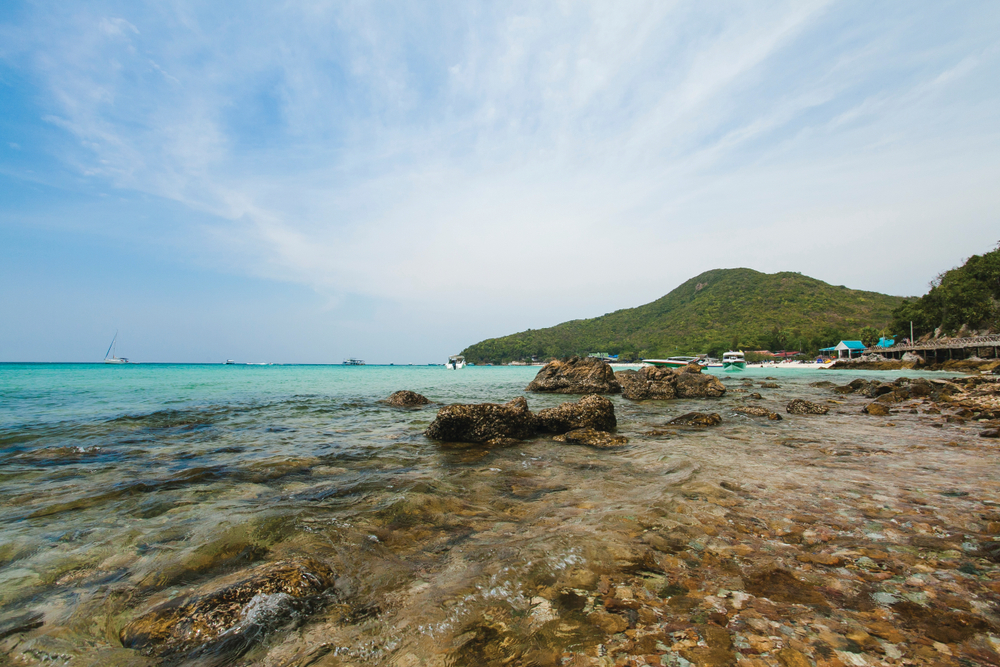 Macintosh HD:Users:ntwbee:Downloads:pr10:Redbull 14.jpg