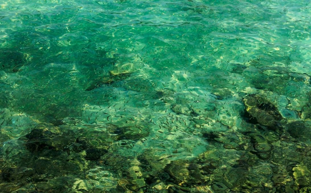 Macintosh HD:Users:ntwbee:Downloads:pr10:Redbull21.png