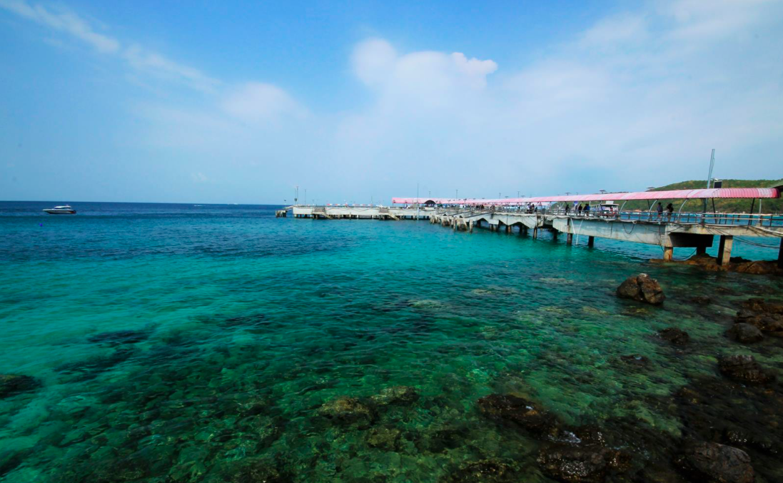 Macintosh HD:Users:ntwbee:Downloads:pr10:Redbull22.png