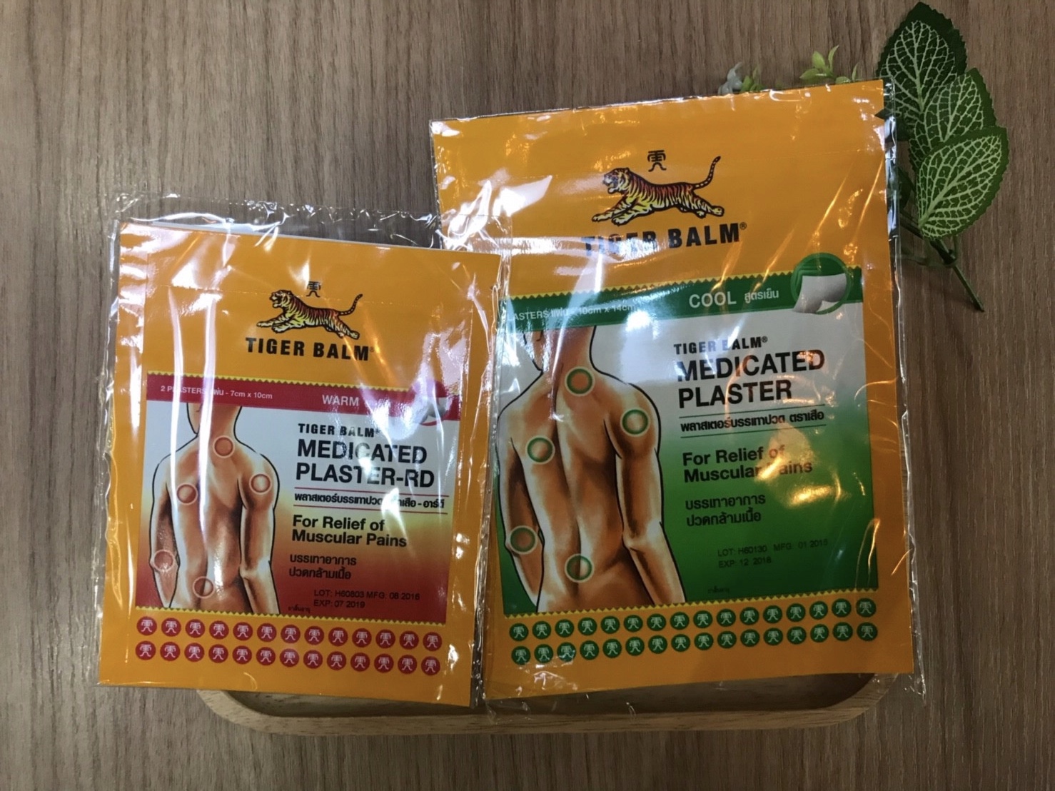 Macintosh HD:Users:ntwbee:Downloads:IMG_6031.jpg