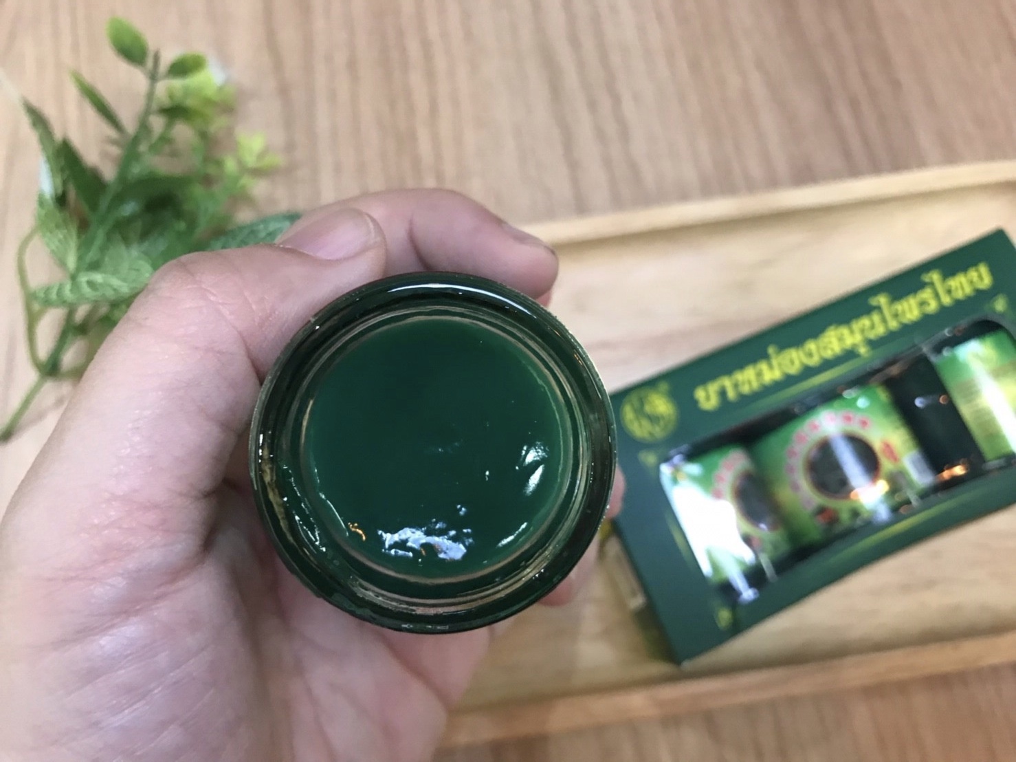 Macintosh HD:Users:ntwbee:Downloads:IMG_6026.jpg