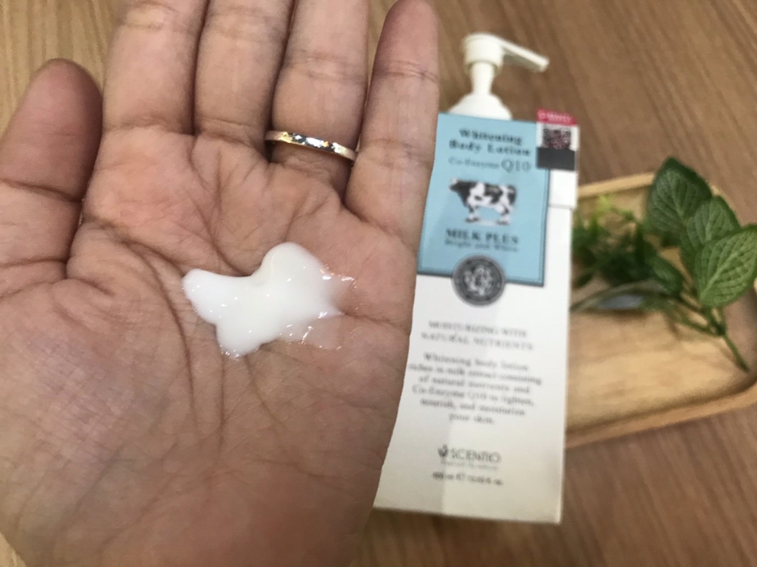 Macintosh HD:Users:ntwbee:Downloads:IMG_6028.jpg