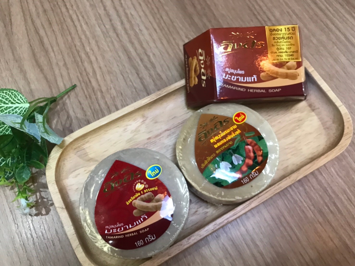 Macintosh HD:Users:ntwbee:Downloads:IMG_6024.JPG