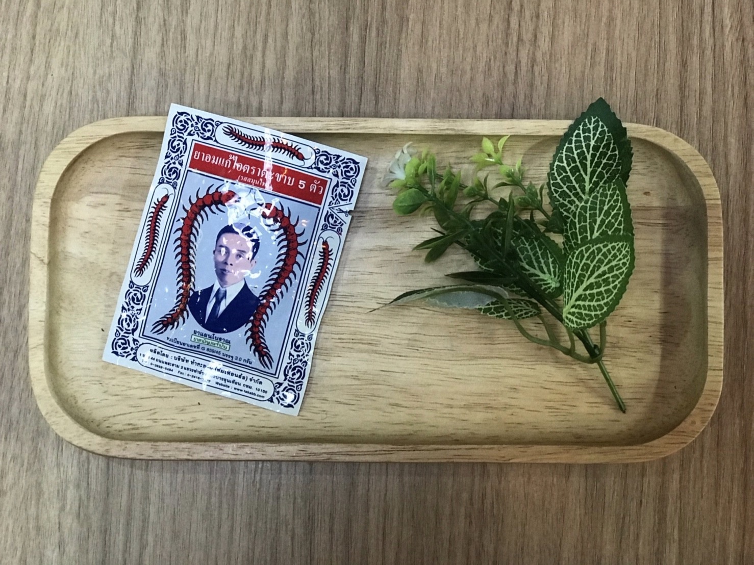 Macintosh HD:Users:ntwbee:Downloads:IMG_6029.jpg