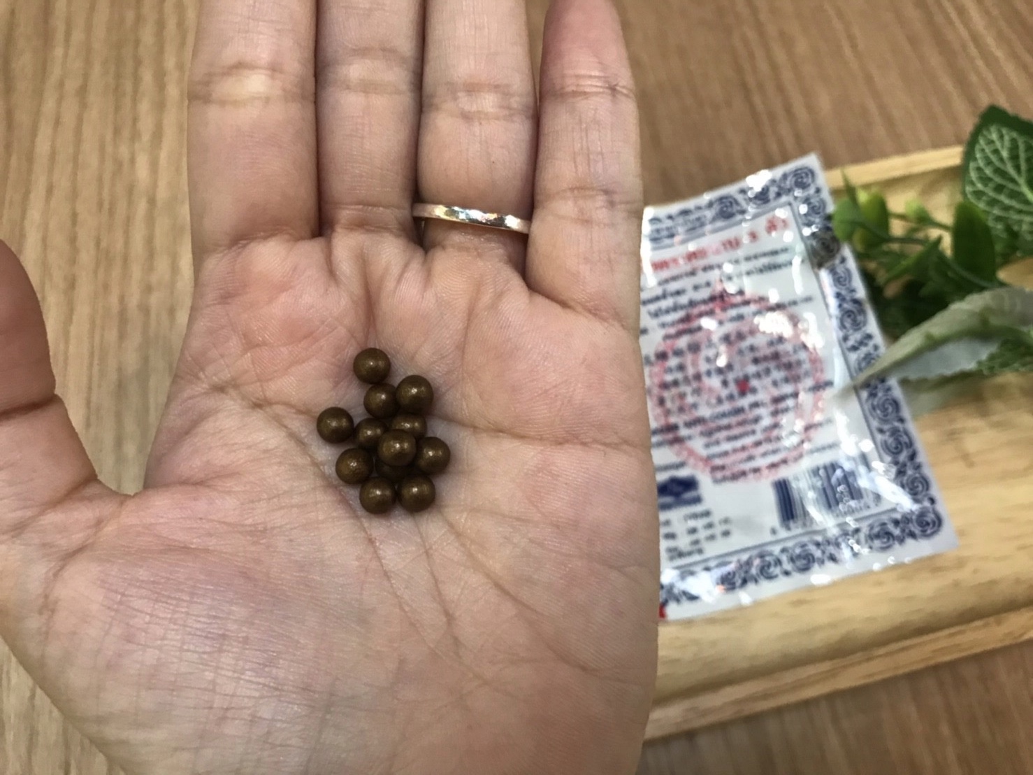 Macintosh HD:Users:ntwbee:Downloads:IMG_6030.jpg