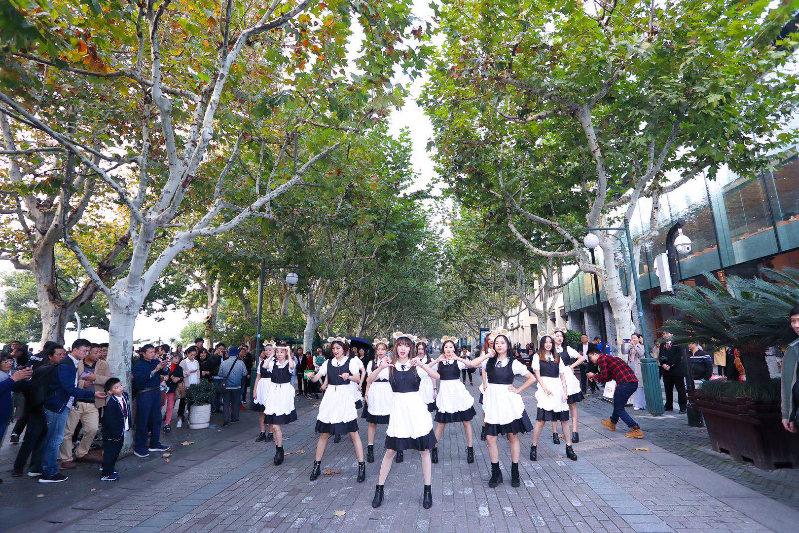 微信图片_201811111330361