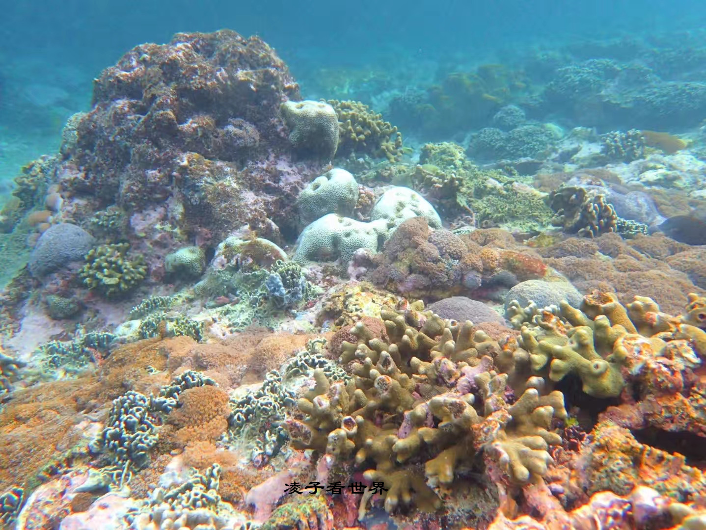 巴厘岛少有人知的海上世外桃源——努萨佩尼达岛