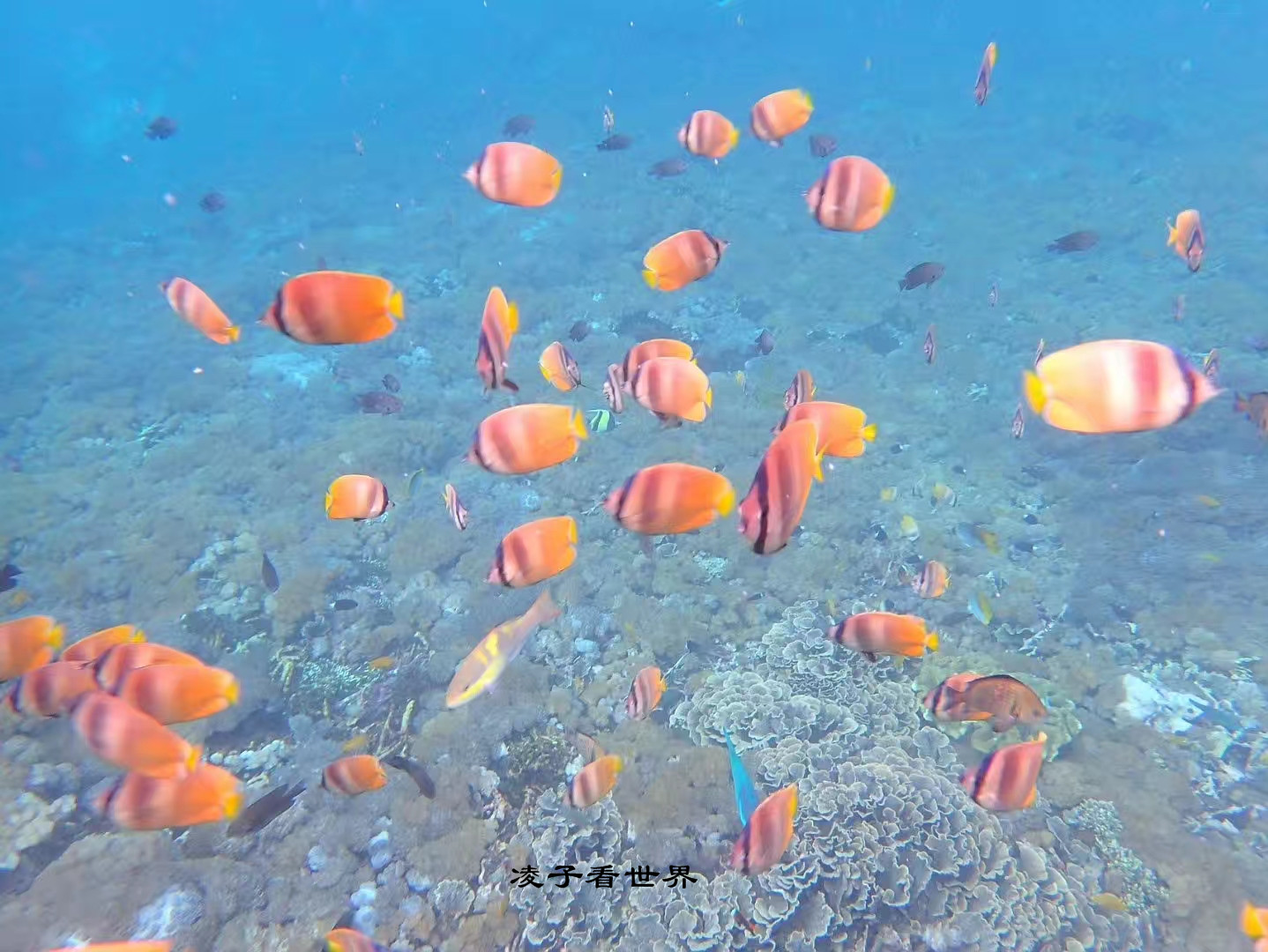 巴厘岛少有人知的海上世外桃源——努萨佩尼达岛