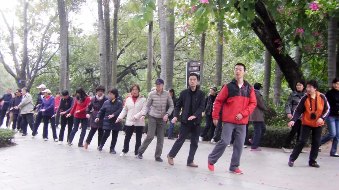 郭林气功抗癌竟得到专家们这样评价？广州康复乐园助力肿瘤康复