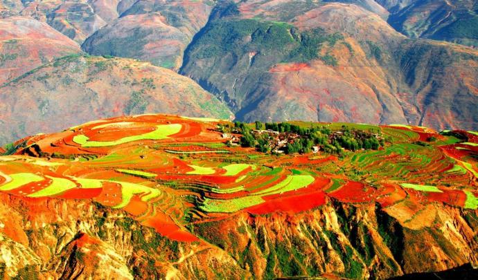 202005phz8hahdvpppzvv9