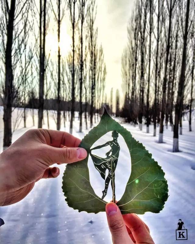 树叶雕刻，真的太美啦