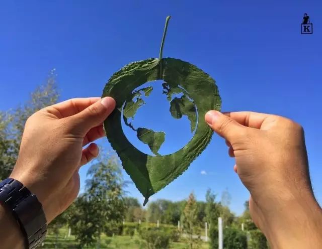 树叶雕刻，真的太美啦