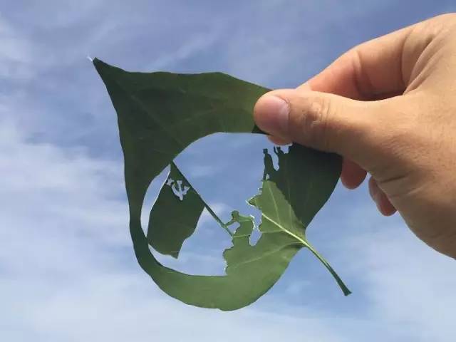 树叶雕刻，真的太美啦