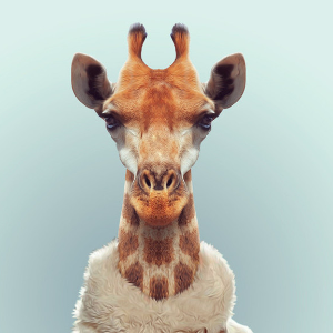 崂山道士收徒弟,为什么不要聪明的?只要笨