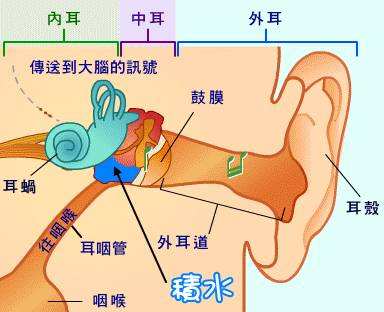 首大戴海江:及早治疗中耳炎,保护听力