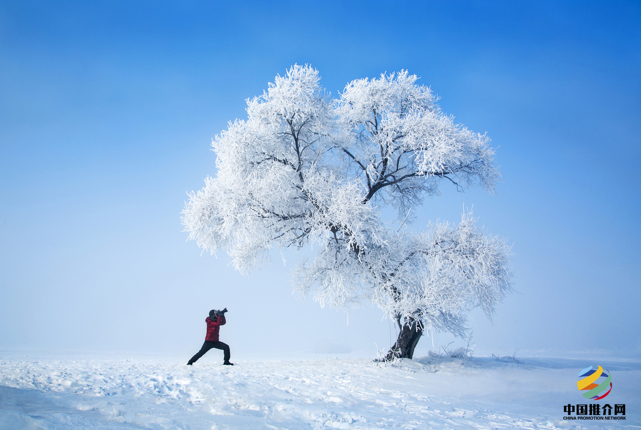 中国推介网带你走进—最美的雪景冬天的童话