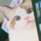 【一点资讯】给男友1岁到26岁的生日礼物,清单