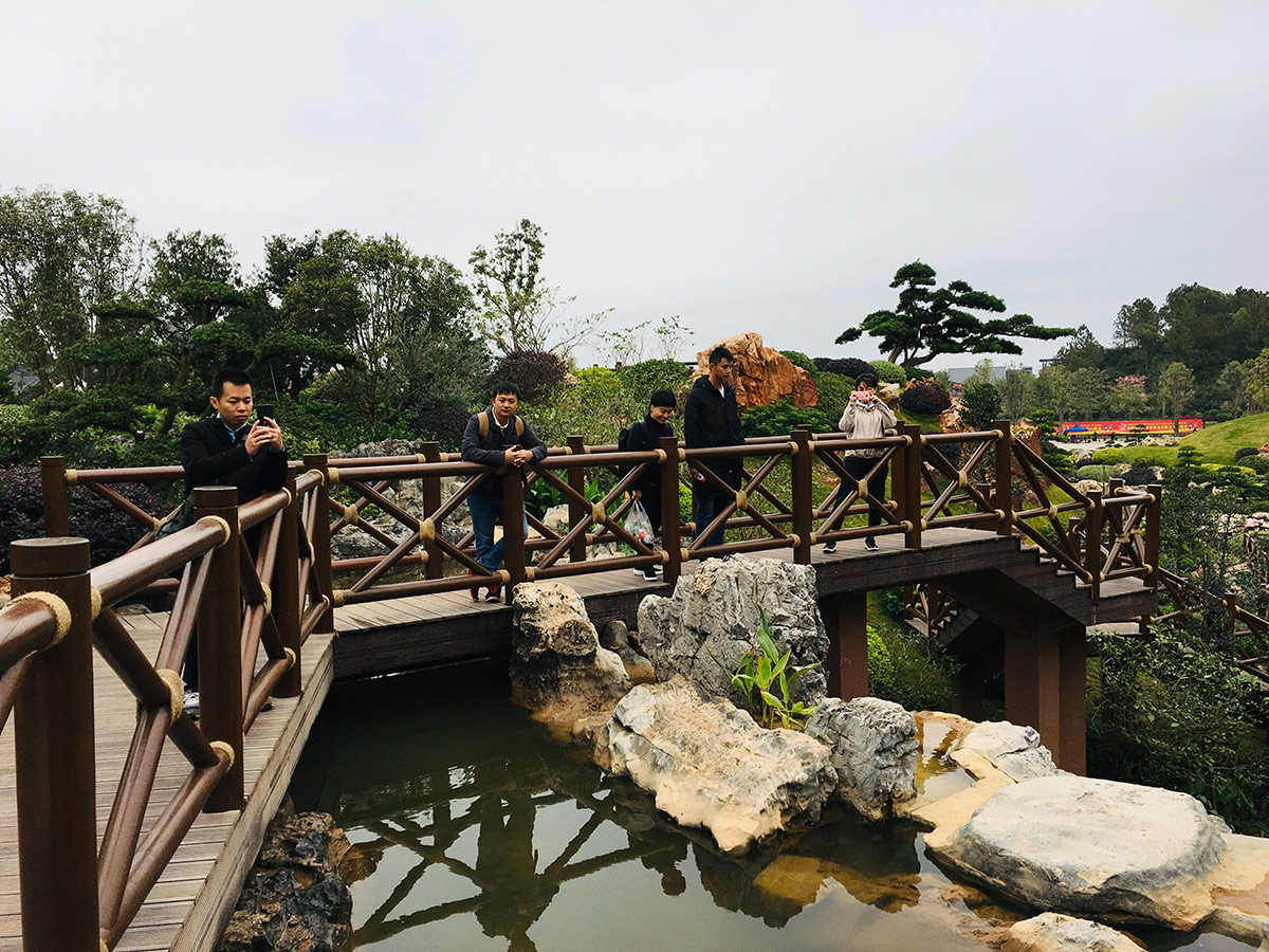 峰程7080集体翘班只为看第十二届中国(南宁)国际园林博览会 (6)