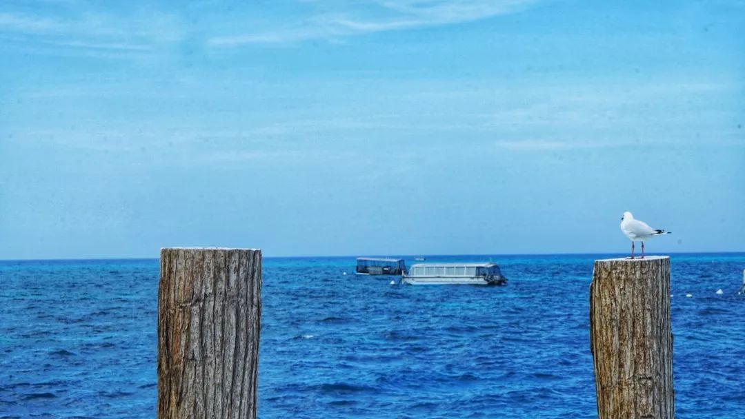 抱着探索之心玩澳大利亚，我们能得到什么？