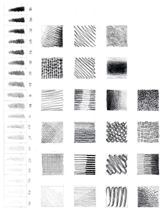 作为一名绘画初学者,掌握线条在画面造型中的: 轻重,疏密,方向,分布