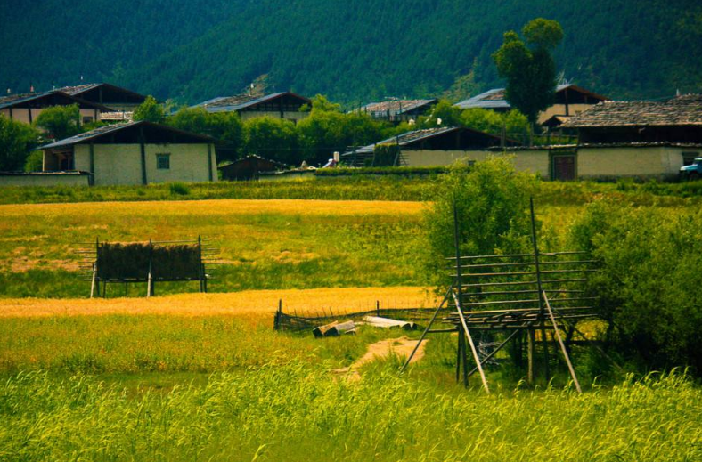 龙梅子《如风》：抓不住的你，我该这样释怀