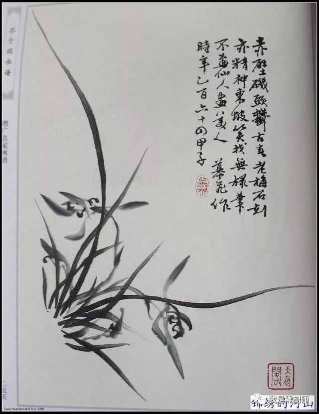 芥子园画谱《梅兰竹菊》之《兰》