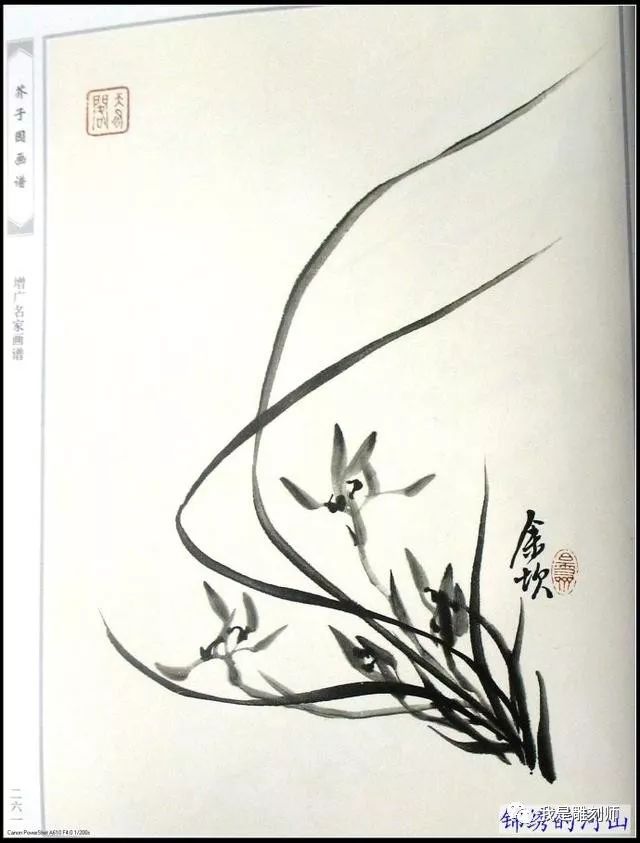 芥子园画谱《梅兰竹菊》之《兰》