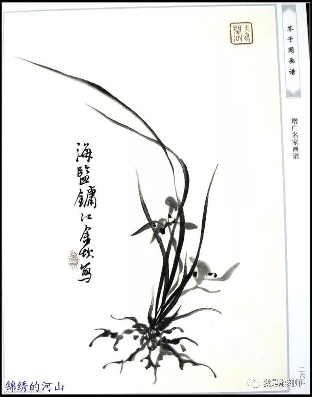 芥子园画谱《梅兰竹菊》之《兰》