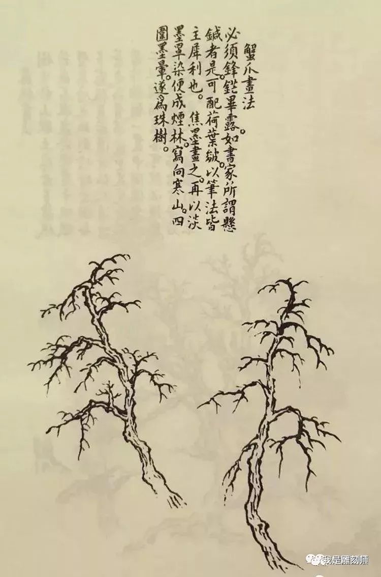 《芥子园画谱》——奠基现代盆景的"中国风"