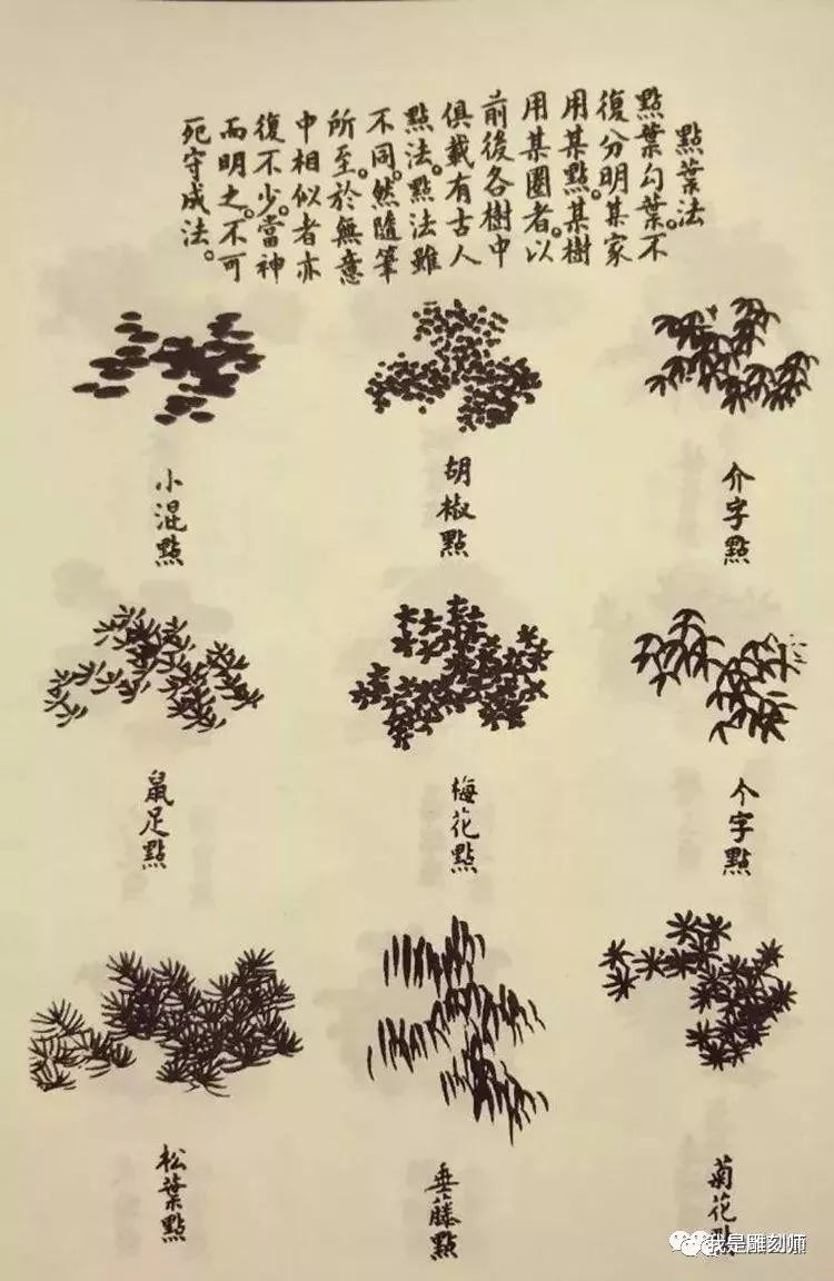 《芥子园画谱》——奠基现代盆景的"中国风"