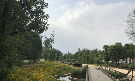 天府大道春节后首场土拍将至！4宗地块逾280亩 城南风向标之战