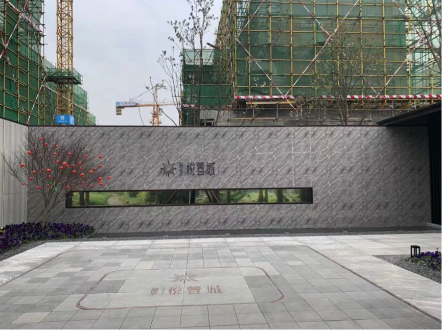 来自东南西北的房企成都插班生，交作业了