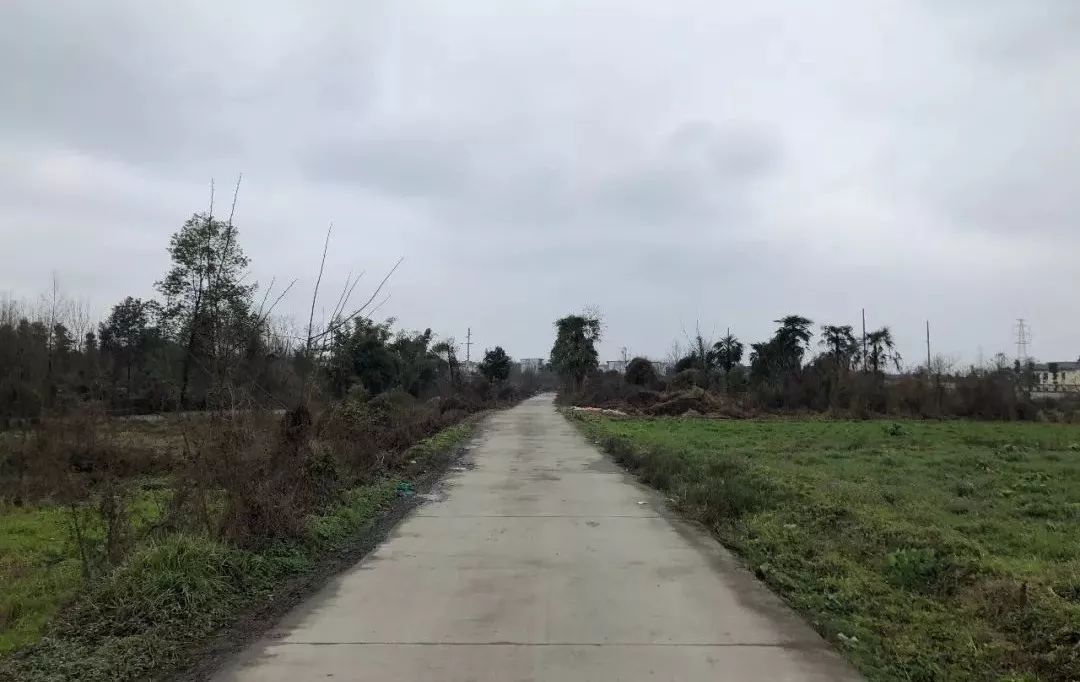 青城山进化史：第一次因为张道陵，第二次因为白素贞，第三次因为2019年2月26日？