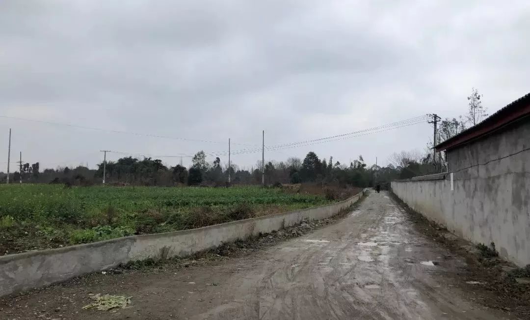 青城山进化史：第一次因为张道陵，第二次因为白素贞，第三次因为2019年2月26日？