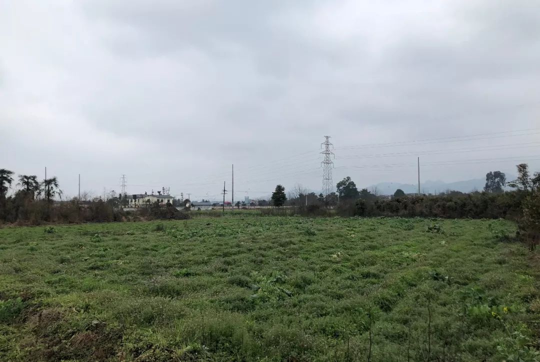 青城山进化史：第一次因为张道陵，第二次因为白素贞，第三次因为2019年2月26日？