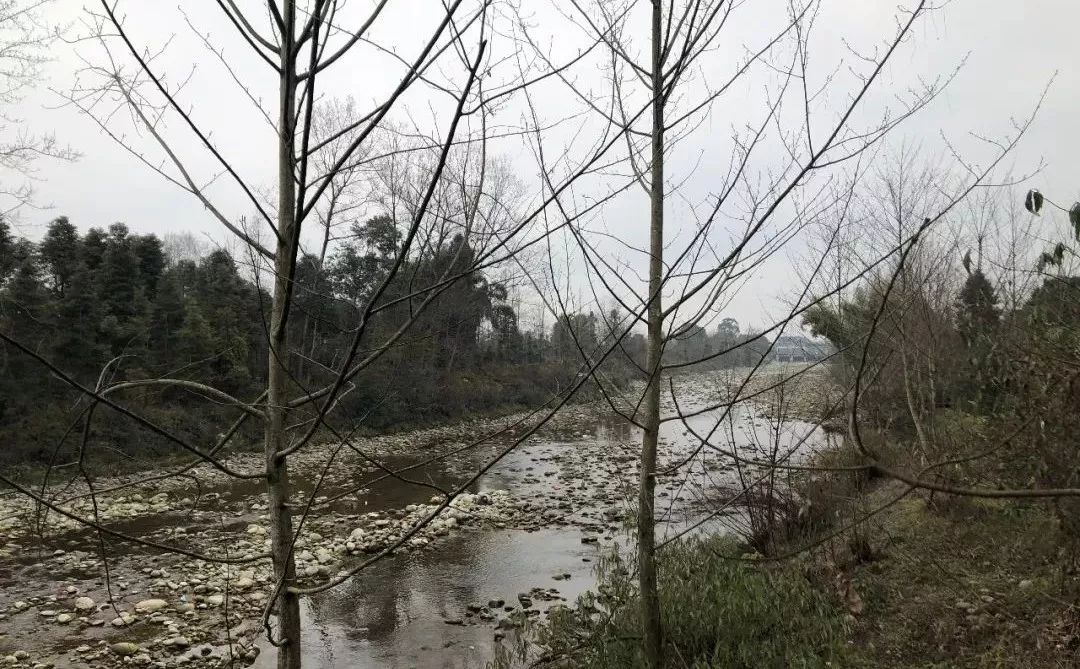 青城山进化史：第一次因为张道陵，第二次因为白素贞，第三次因为2019年2月26日？