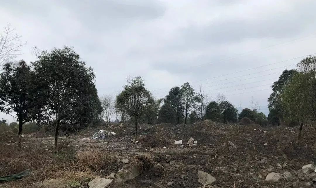 青城山进化史：第一次因为张道陵，第二次因为白素贞，第三次因为2019年2月26日？