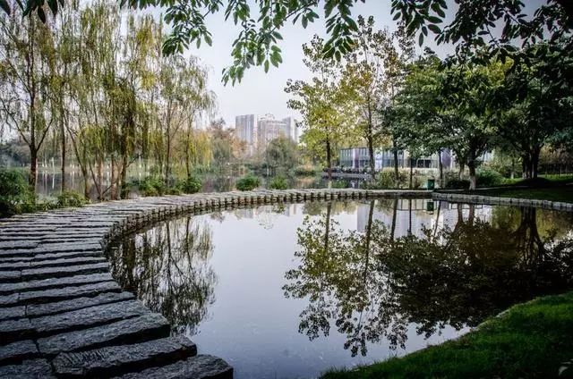 天天闹到要买“二环”，这次终于如你愿了，可惜你又买不起……