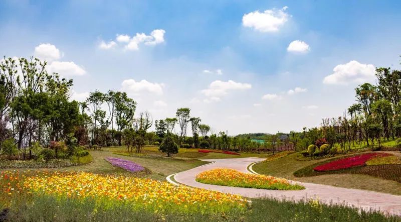 洋气了，天府大道再添180米新地标！一座新城就此浮出水面！