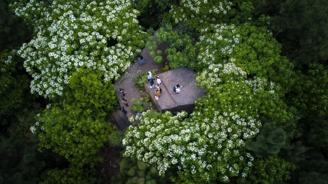 天府新区向南又一条主干道即将全线通车…