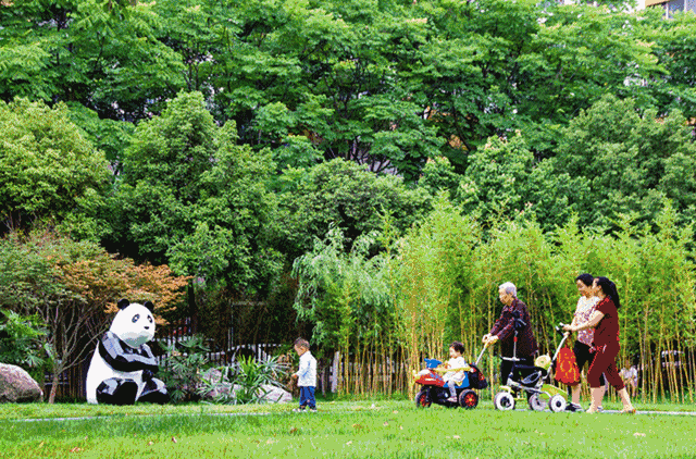 成都新添4公里“中环绿道”，速来围观！